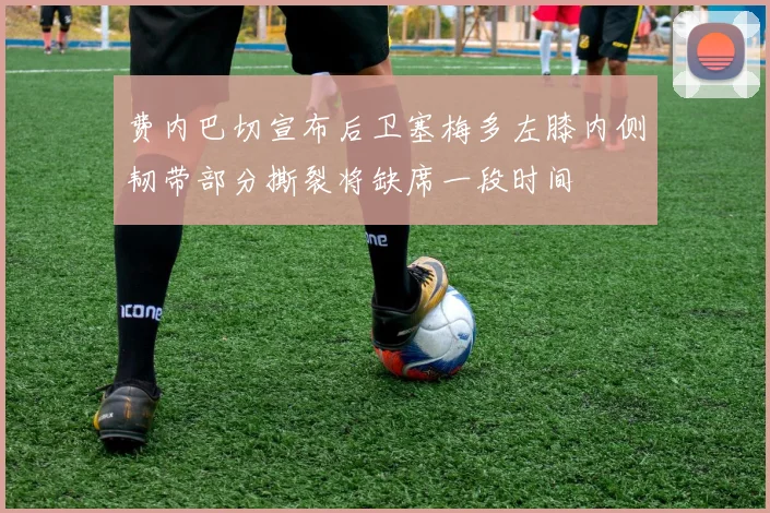 费内巴切宣布后卫塞梅多左膝内侧韧带部分撕裂将缺席一段时间