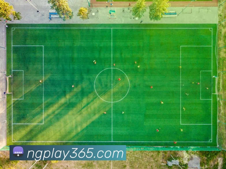 多媒体互动体验